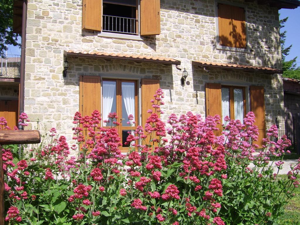 Agriturismo Il Falco Del Monte Fumaiolo Alfero 外观 照片