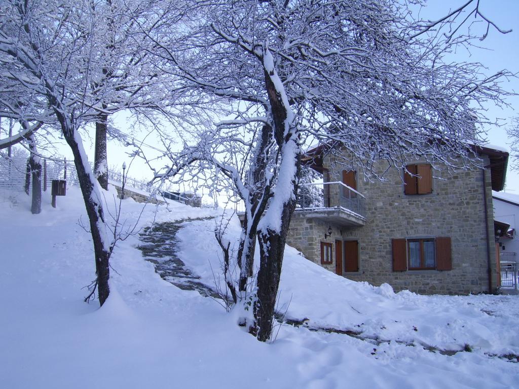 Agriturismo Il Falco Del Monte Fumaiolo Alfero 外观 照片