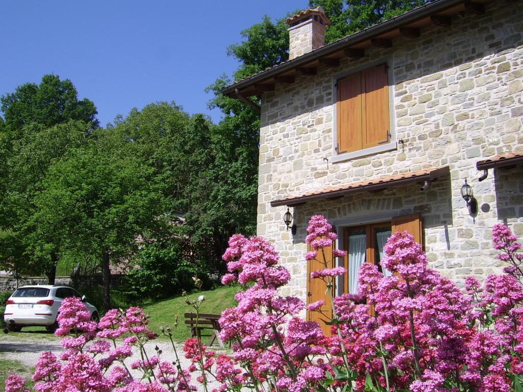 Agriturismo Il Falco Del Monte Fumaiolo Alfero 外观 照片