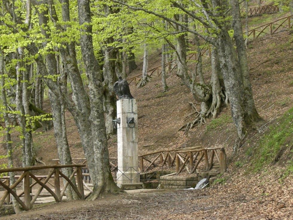 Agriturismo Il Falco Del Monte Fumaiolo Alfero 外观 照片