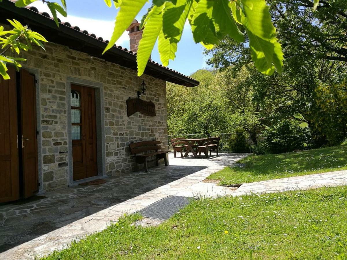 Agriturismo Il Falco Del Monte Fumaiolo Alfero 外观 照片